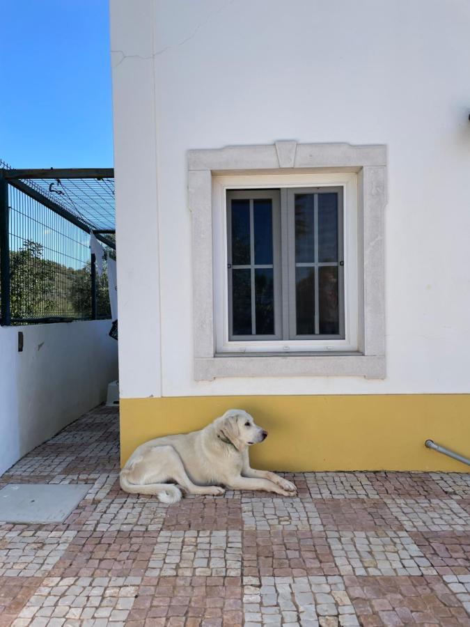 Bed and Breakfast Entrecolinas Paderne  Exterior foto