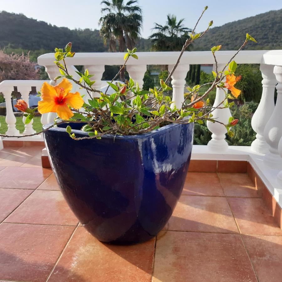Bed and Breakfast Entrecolinas Paderne  Exterior foto